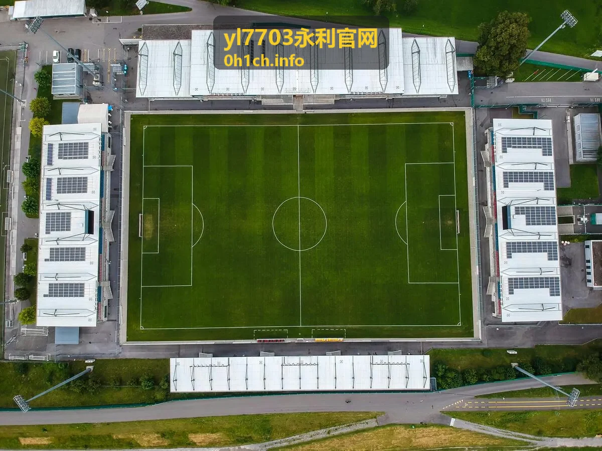 yl7703永利官网平台公告栏目